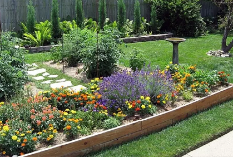 Home Garden Ideas