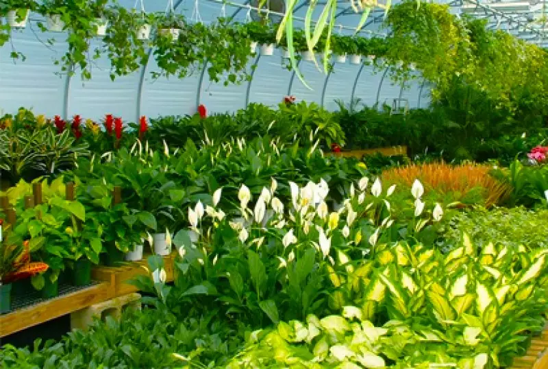 Indoor Garden Planters