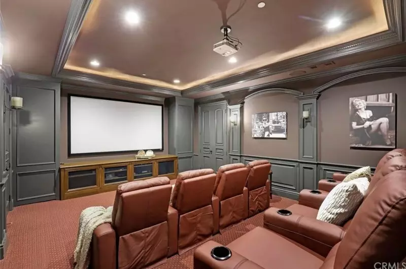 Theater Room Ideas