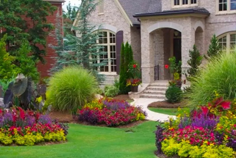 Bushes Shrubs & Trees