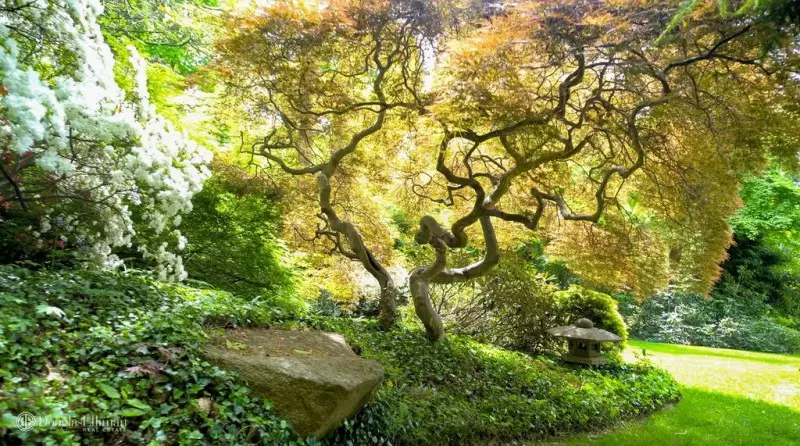 Japanese Garden Design