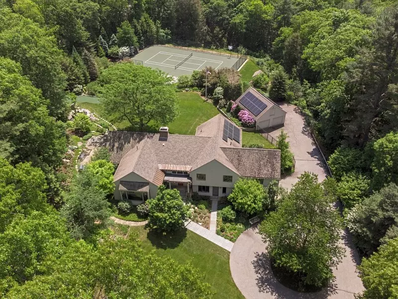 Fast Growing Shade Trees