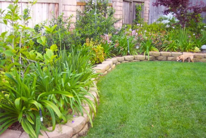 Simple Landscaping Ideas