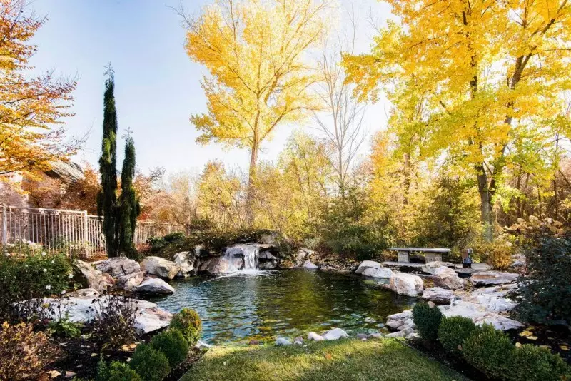 Small Backyard Designs