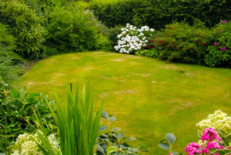 Evergreens for Privacy