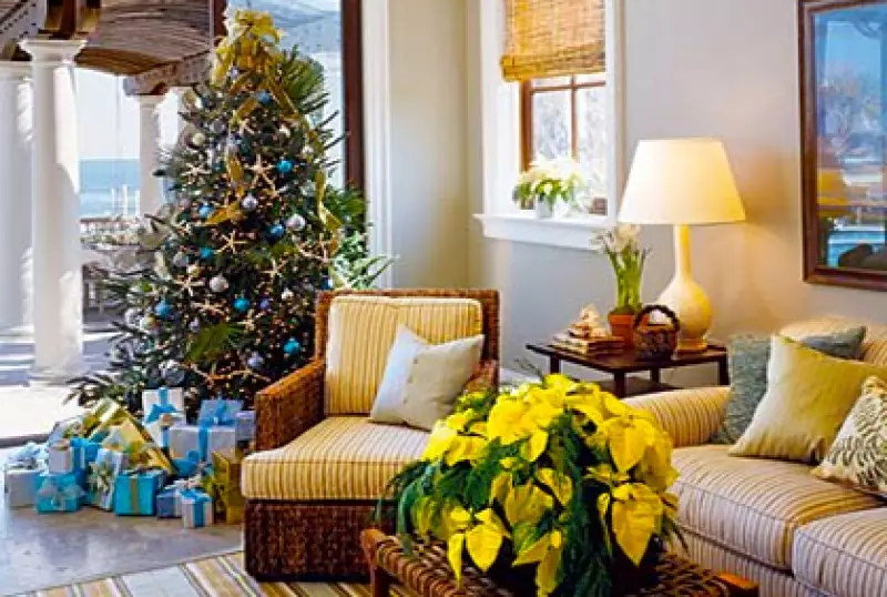 Best Christmas Trees