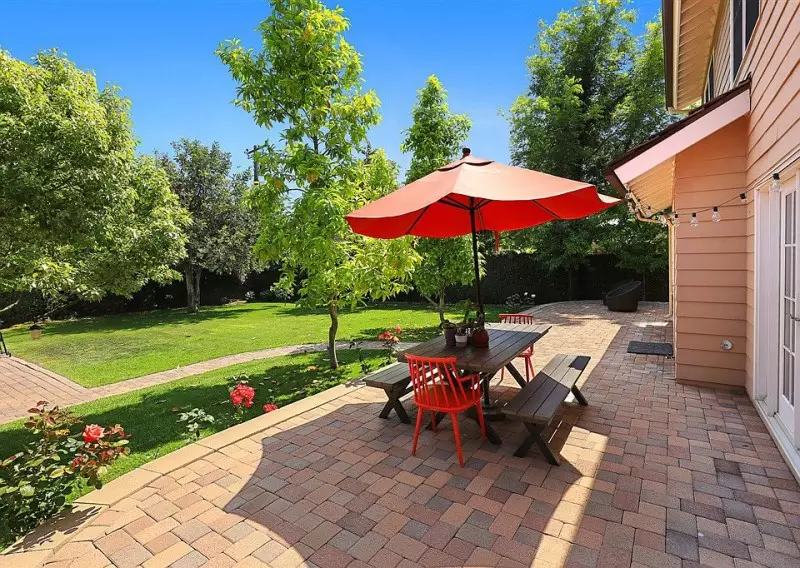 Different Types of Trees