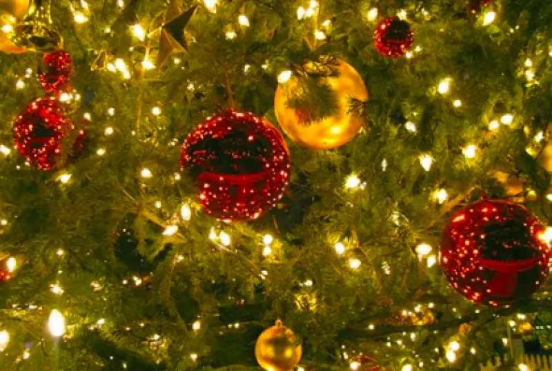 Seasonal Decor Ideas