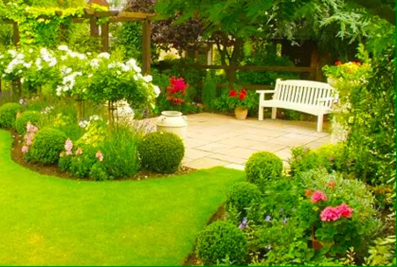 Small Yard Design
