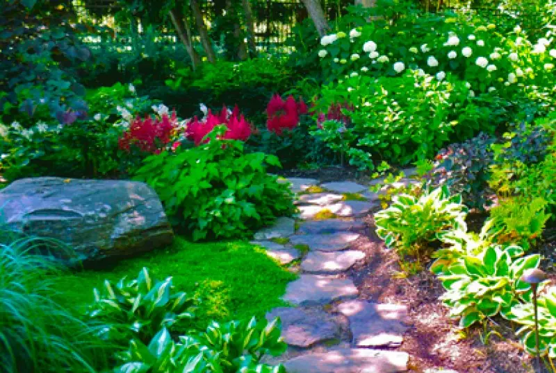 Landscape Design Gallery