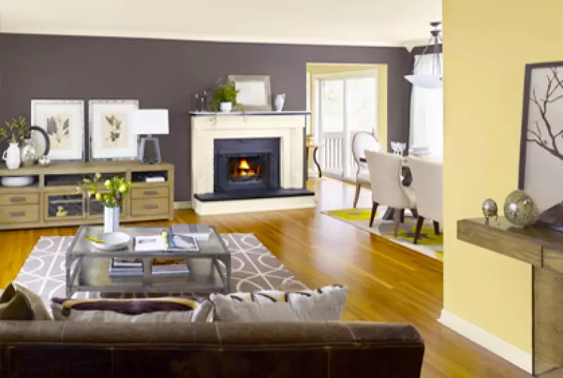 Living Room Paint Colors