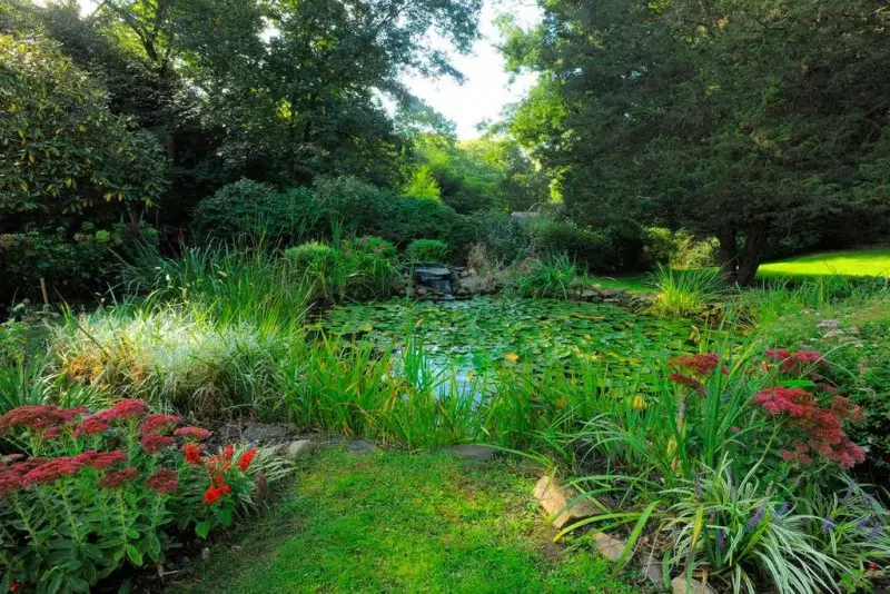 Garden Pond