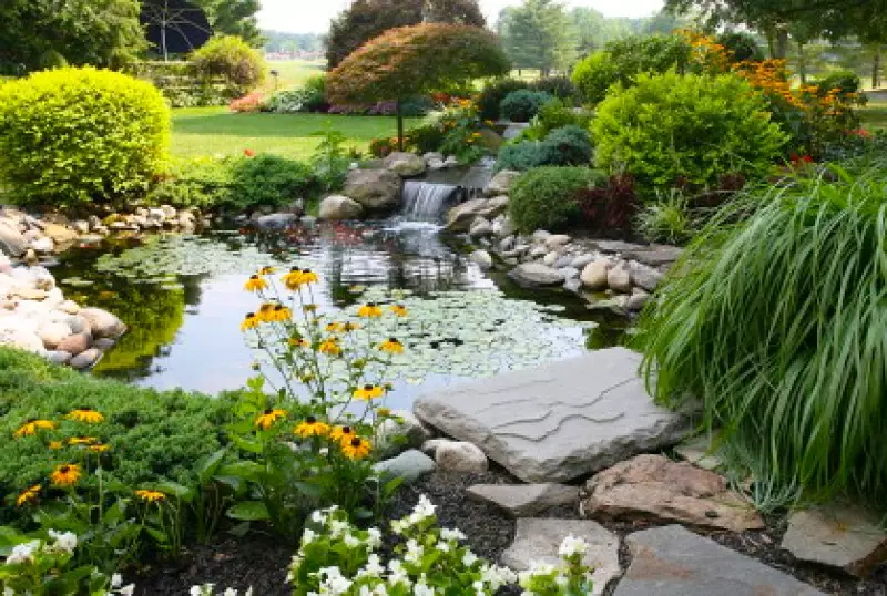 Backyard Water Gardens