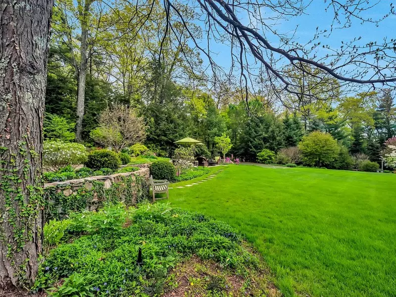 Ornamental Evergreen Trees