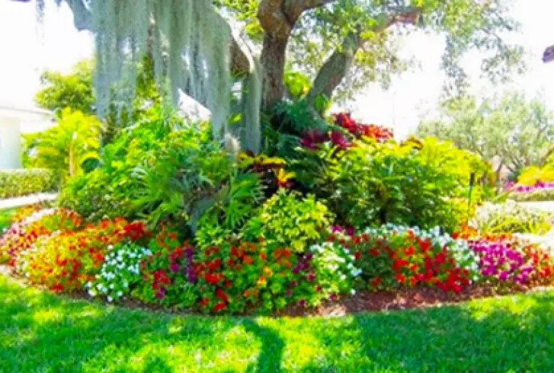 Backyard vs Front Yard Gardens