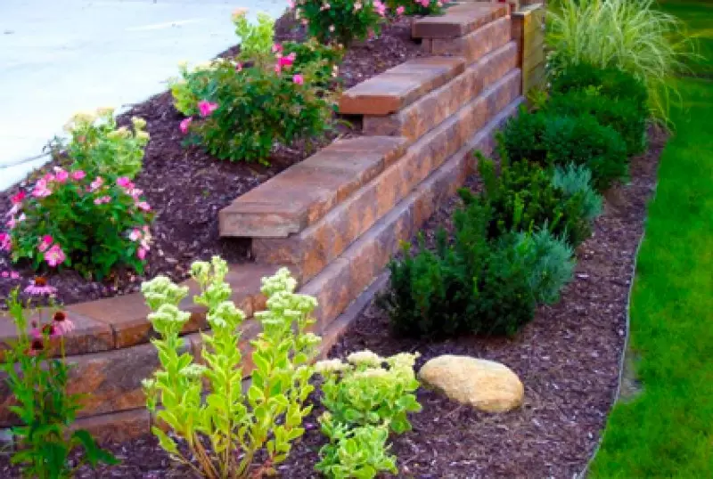 Simple Landscaping Ideas