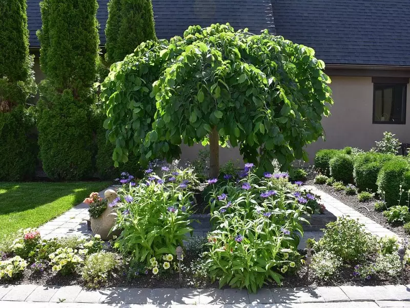 Small Yard Landscaping