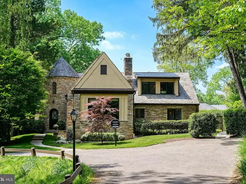 Small Ornamental Trees