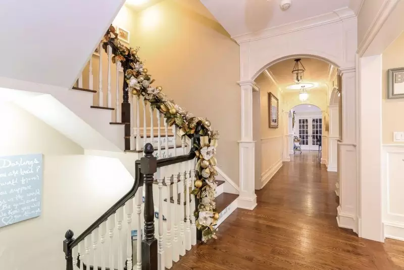 LED Christmas Lights