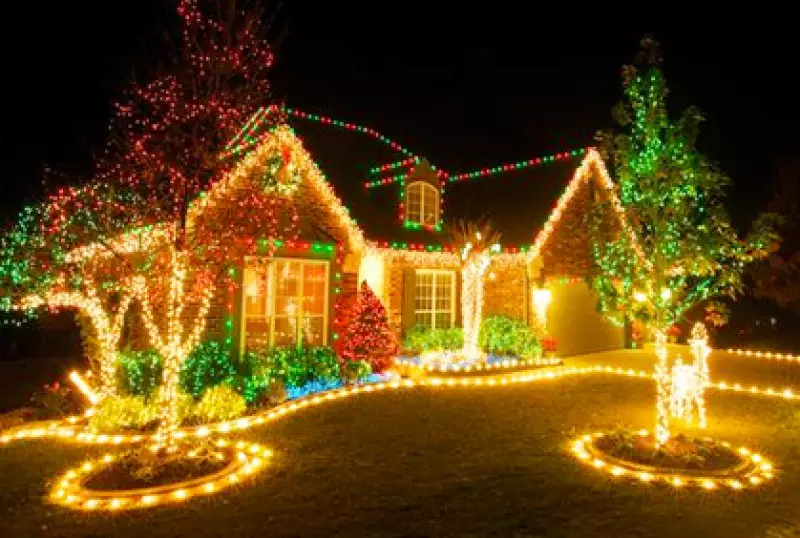 Popular Christmas Lights