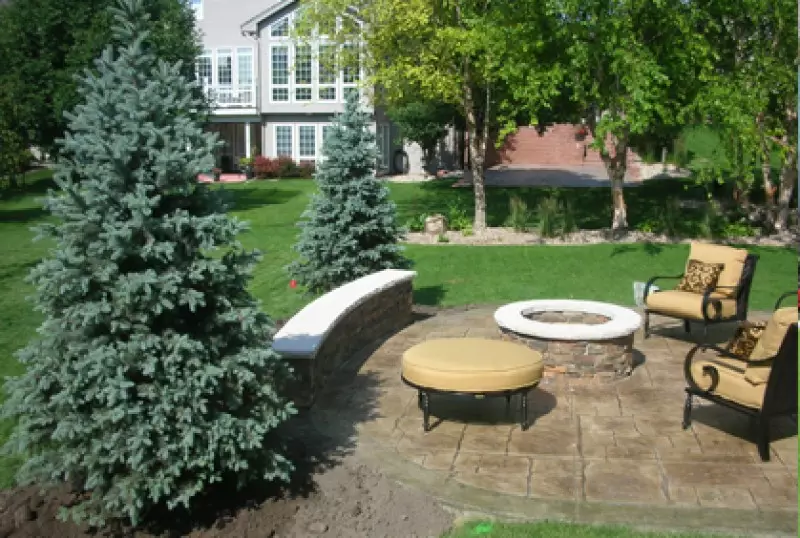 Patio Landscaping Trees
