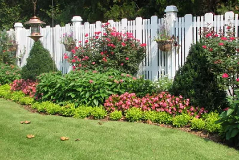 Flowering Landscape Garden