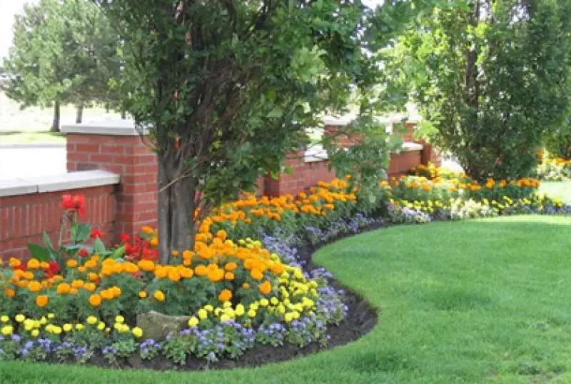 Outdoor Canopy Ideas